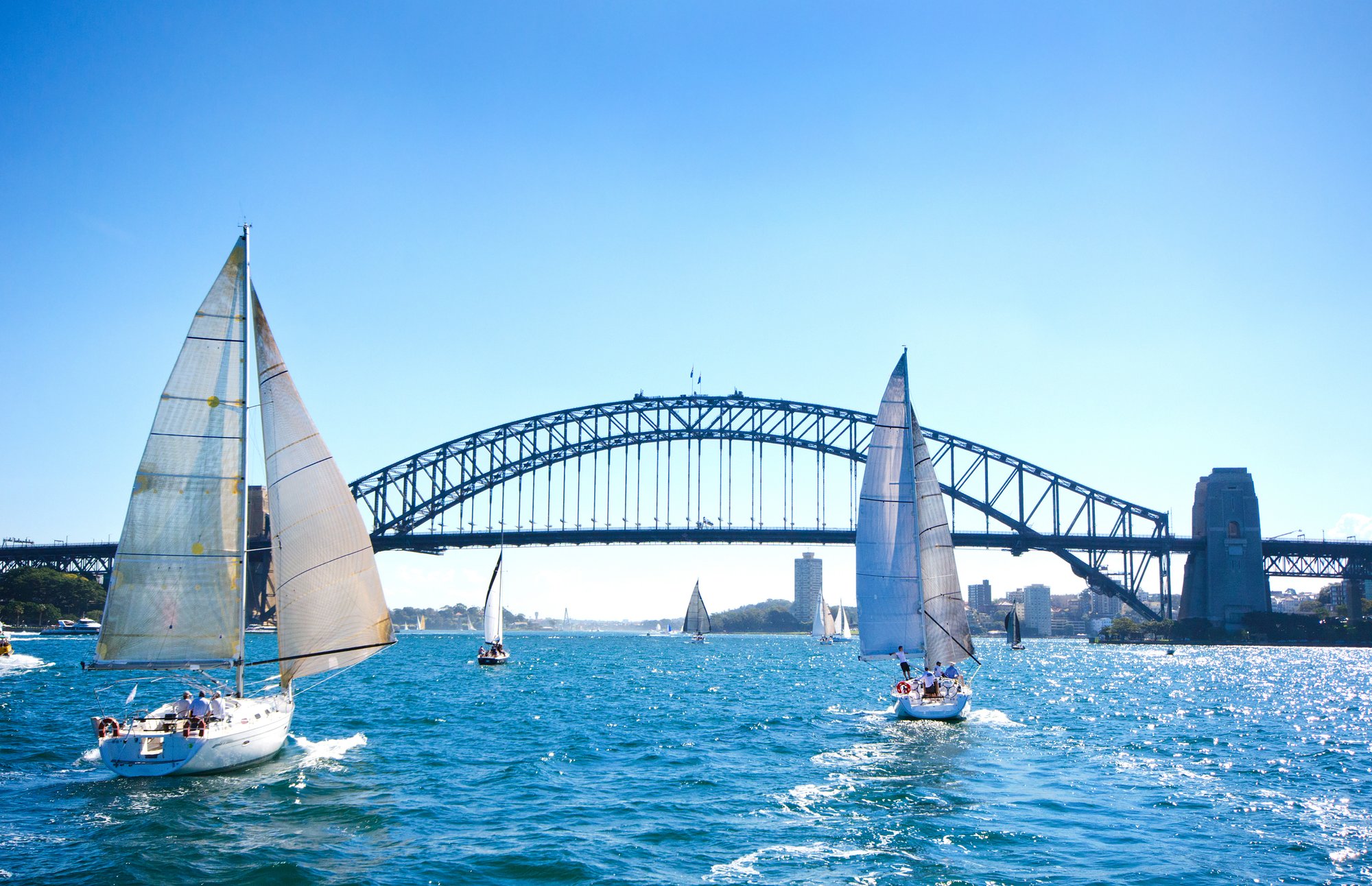 Sydney Harbour Sailing